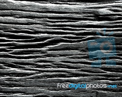 Wood Texture In Black And White Stock Photo