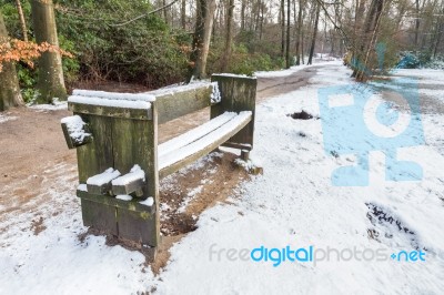 Wooden Bench In Forest With Snow Stock Photo