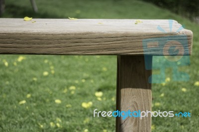 Wooden Bench In Outdoors Garden In Summer Stock Photo