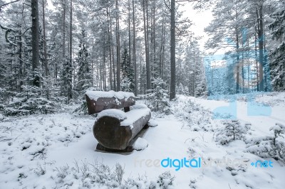 Wooden Bench In The Winter Park Stock Photo