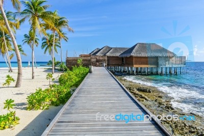 Wooden Bridge Stock Photo