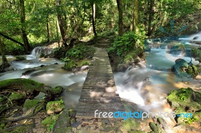 Wooden Bridge Stock Photo