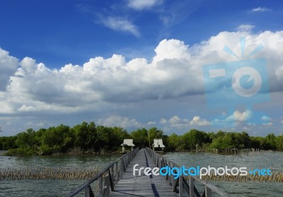 Wooden Bridge For The Walk To The Bangkok Sea, Thailand Stock Photo