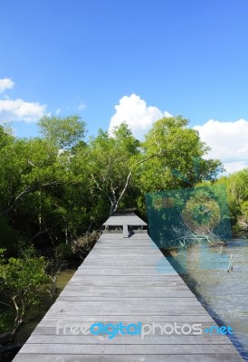 Wooden Bridge For The Walk To The Sea Stock Photo