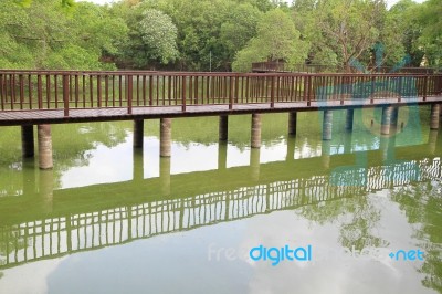 Wooden Bridge Over The Lake Through The Forest Stock Photo