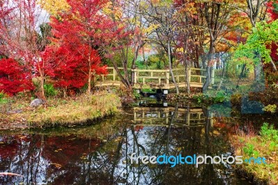 Wooden Bridge Surrounded By Autumn Colors Stock Photo