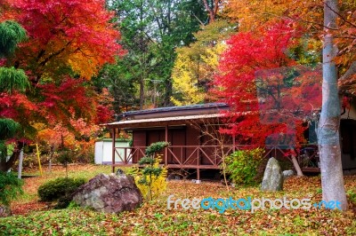 Wooden Cabin With Autumn Foliage Leaves Stock Photo