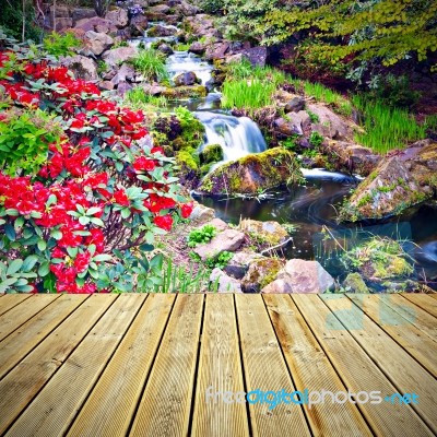 Wooden Deck Floor And Red Rhododendron Flowers Stock Photo