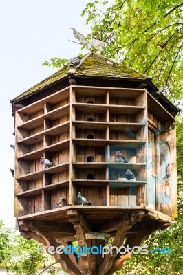 Wooden Dovecote With Several Pigeons Stock Photo