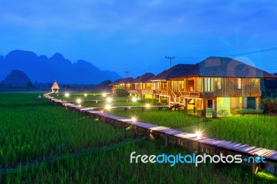 Wooden Path And Green Rice Field At Night In Vang Vieng, Laos Stock Photo