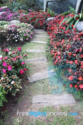 Wooden Path Walk In Public Garden Stock Photo