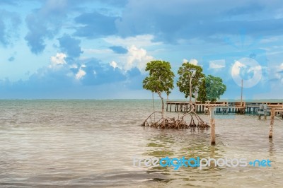 Wooden Pier Dock And Ocean View At Caye Caulker Belize Caribbean… Stock Photo