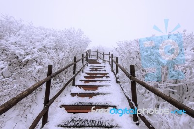 Wooden Stairs On A Hillside In Winter. Deogyusan Mountains In South Korea Stock Photo