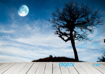 Wooden Terrace Over Night Sky Stock Image