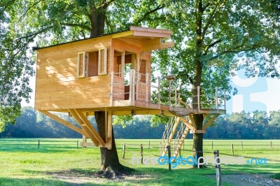 Wooden Tree House In Oak Tree And Meadow Stock Photo