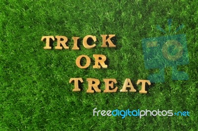 Wooden Trick Or Treat Words On Grass Background Stock Photo