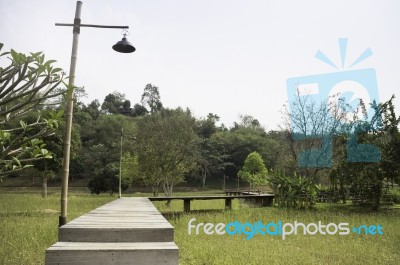 Wooden Walkway To Tropical Garden Stock Photo