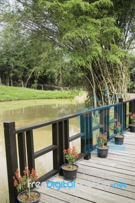 Wooden Walkway To Tropical Garden Stock Photo