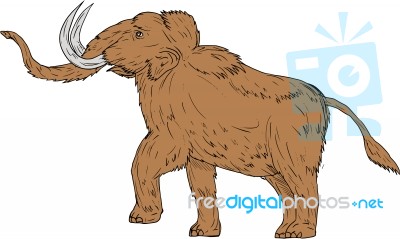 Woolly Mammoth Prancing Drawing Stock Image