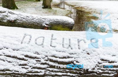 Word Nature In Snow On Tree Trunks Stock Photo