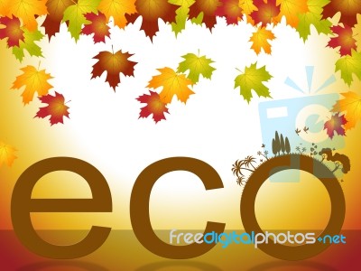 Word Nature Represents Go Green And Conservation Stock Image