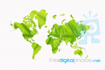 World Map With Leaf Texture Stock Photo