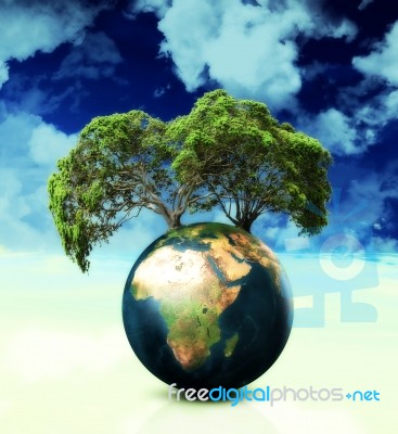 World Tree Stock Image