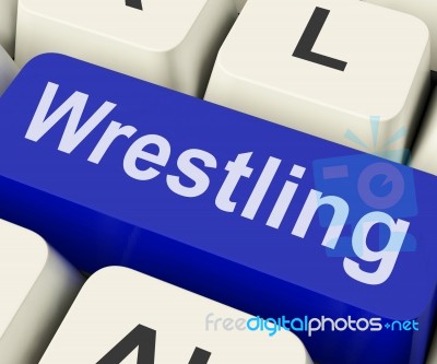 Wrestling Key Shows Wrestler Fighting Or Grappling Online Stock Image