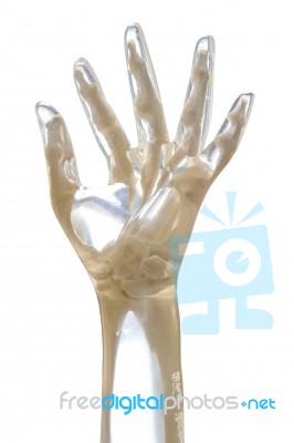 X-ray Phantom Hand Stock Photo