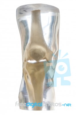 X-ray Phantom Knee Stock Photo