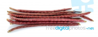 Yard Long Bean Isolated On The White Background Stock Photo