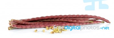 Yard Long Bean Isolated On The White Background Stock Photo