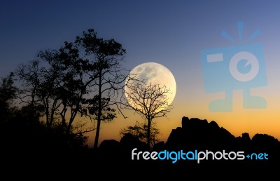 Yellow Big Moon Sihoutte Background Stock Photo