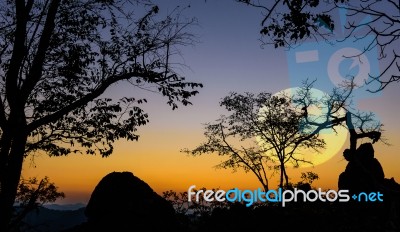 Yellow Big Moon Sihoutte Background Stock Photo