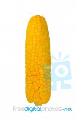 Yellow Corn Stock Photo