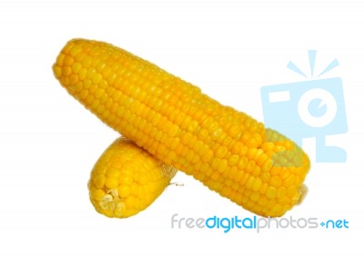 Yellow Corn Stock Photo