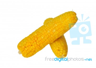 Yellow Corn Stock Photo