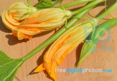 Yellow Courgette Blossoms Stock Photo