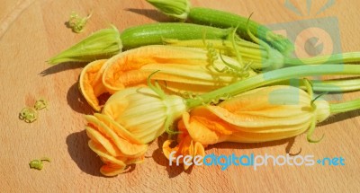 Yellow Courgette Blossoms Stock Photo