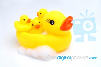 Yellow Duck With Babies Stock Photo