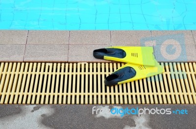 Yellow Flipper Stock Photo