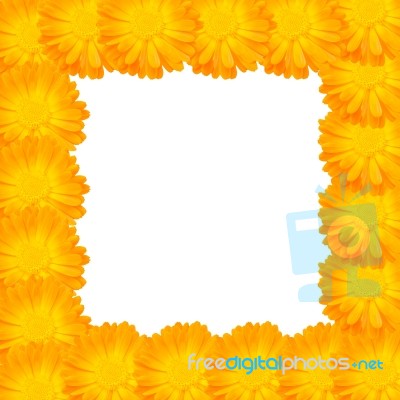 Yellow Flower Frame Stock Photo