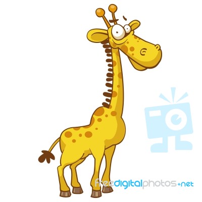 Yellow Giraffe Stock Image