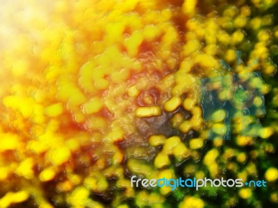 Yellow Green Bokeh Goo Drops Abstract Background Stock Photo