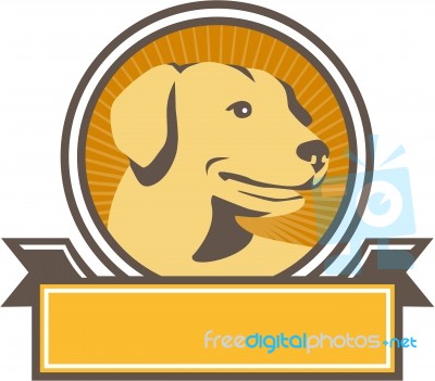 Yellow Labrador Golden Retriever Head Circle Retro Stock Image