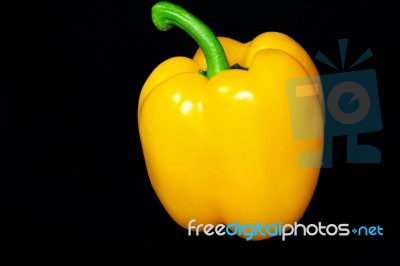 Yellow Paprika Stock Photo