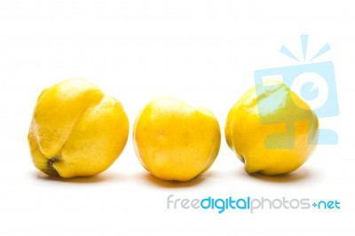 Yellow Quince Pear Stock Photo