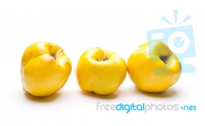 Yellow Quince Pear Stock Photo