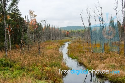 Yellow River Stock Photo