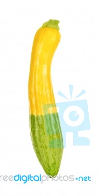 Yellow Zucchini Isolated Stock Photo